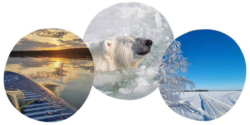 mattila-aktiviteetit